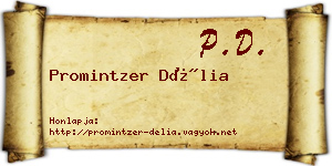 Promintzer Délia névjegykártya